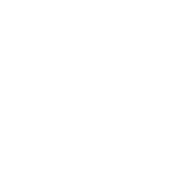 Dashboards & Insights